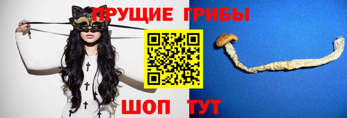 Псилоцибиновые грибы мухоморы  Вход с VPN  Каменка  Псилоцибиновые грибы GOLDEN TEACHER 